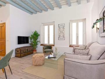 Alquiler 1 Dormitorio Apartamentos Sevilla Sevilla DS96345738