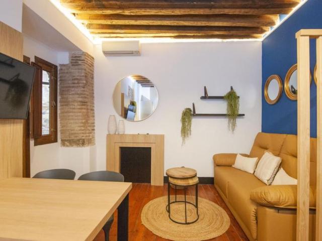 Alquiler 1 Dormitorio Apartamentos Toledo Toledo DS93980632