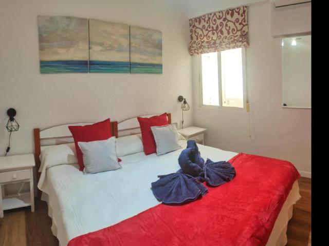 Alquiler 1 Dormitorio Apartamentos Torremolinos Torremolinos DS99288888