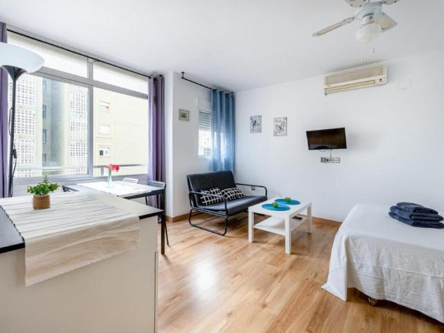 Alquiler 1 Dormitorio Apartamentos Torremolinos Torremolinos DS99239055