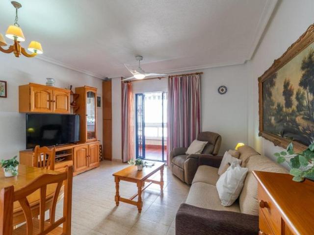 Alquiler 1 Dormitorio Apartamentos Torrevieja Alicante DS104910417
