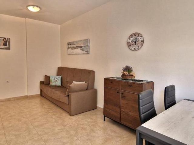 Alquiler 1 Dormitorio Apartamentos Torrevieja Alicante DS105135987