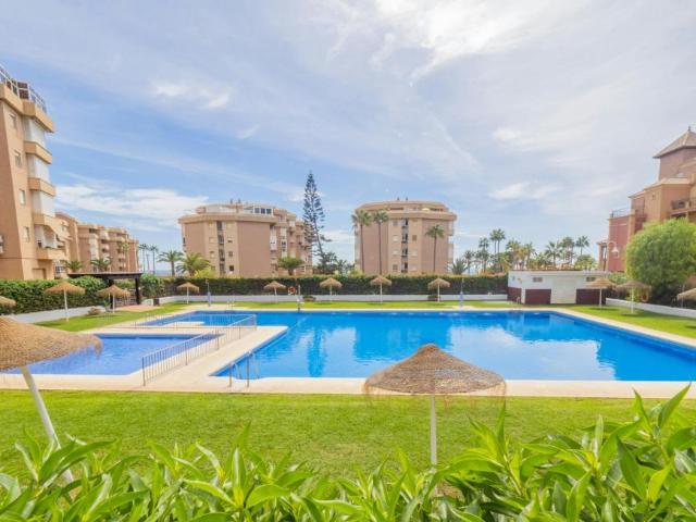 Alquiler 1 Dormitorio Apartamentos Torrox Torrox DLS102771754