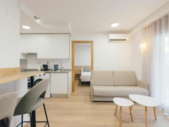 Alquiler 1 Dormitorio Apartamentos Valencia Valencia DS104896123