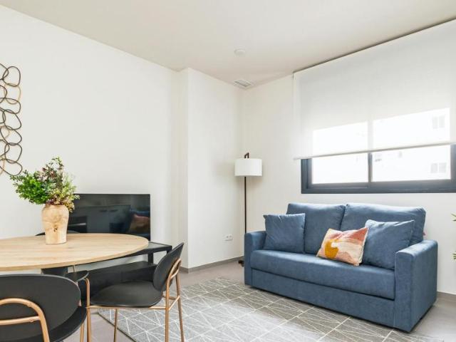 Alquiler 1 Dormitorio Apartamentos Valencia Valencia DS100716831