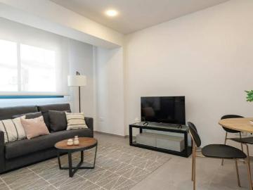Alquiler 1 Dormitorio Apartamentos Valencia Valencia DS103324613