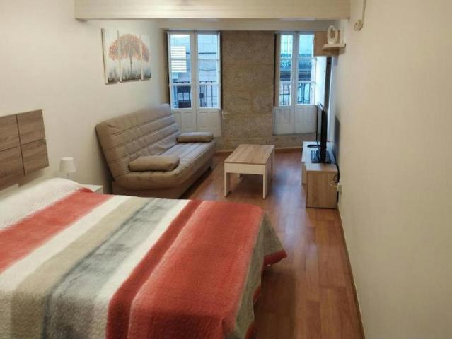 Alquiler 1 Dormitorio Apartamentos Vigo Vigo DS105758701