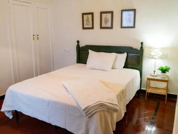 Plaza del Triunfo, Sevilla, Santa Cruz, Sevilla, Sevilla, Sevilla, Andalucía, Andalucía