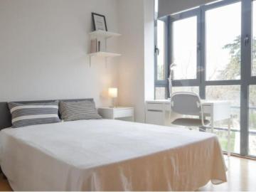 Alquiler 2 Dormitorio Apartamentos Madrid Madrid DS103268557
