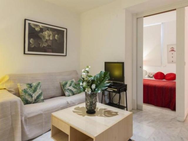 Alquiler 2 Dormitorio Apartamentos Madrid Madrid DS103277128