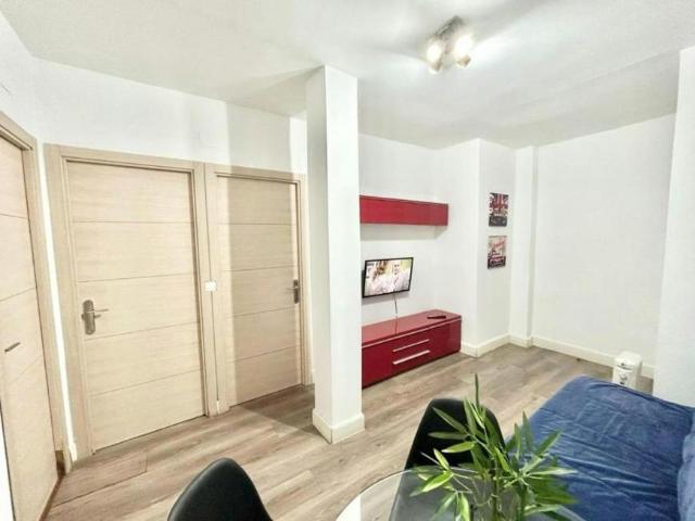 Alquiler 2 Dormitorio Apartamentos Madrid Madrid DS104325017