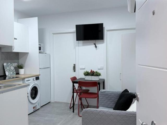 Alquiler 2 Dormitorio Apartamentos Madrid Madrid DS104364413