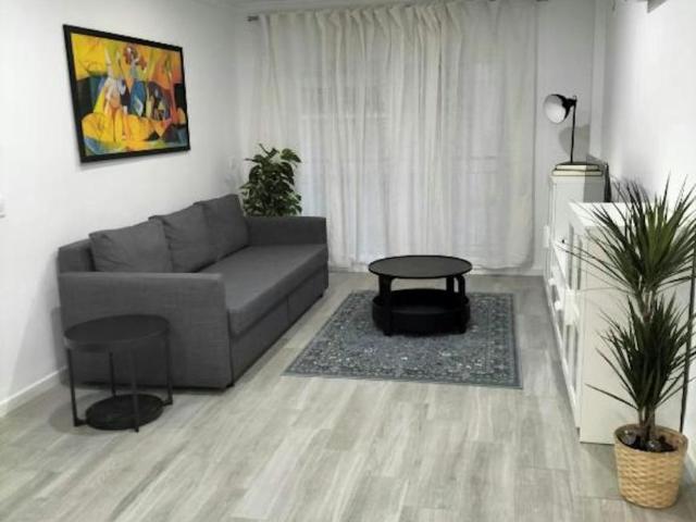 Alquiler 2 Dormitorio Apartamentos Málaga Málaga DLS104324562