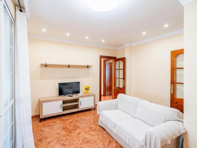 Alquiler 2 Dormitorio Apartamentos Málaga Málaga DS103595126