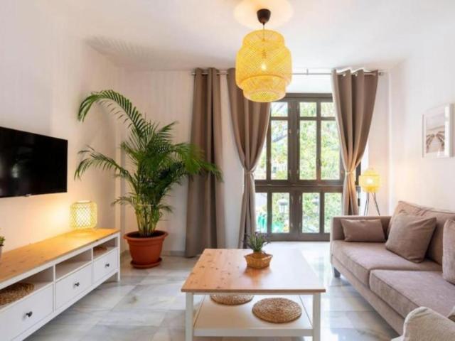 Alquiler 2 Dormitorio Apartamentos Málaga Málaga DS104403724