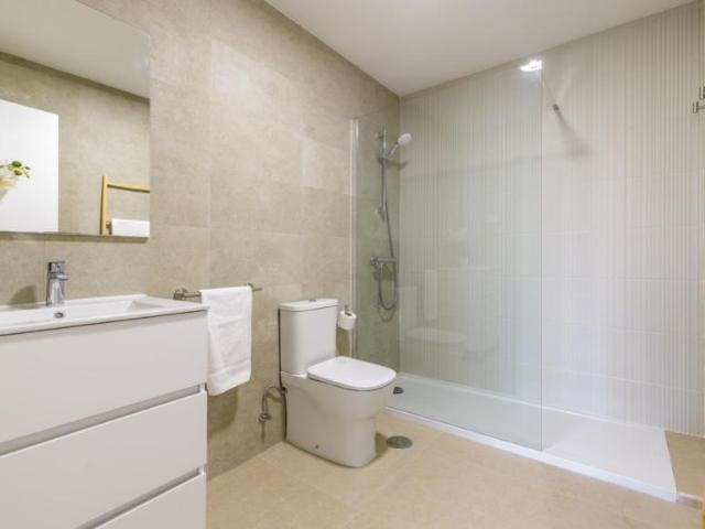 Alquiler 2 Dormitorio Apartamentos Málaga Málaga DS104937882