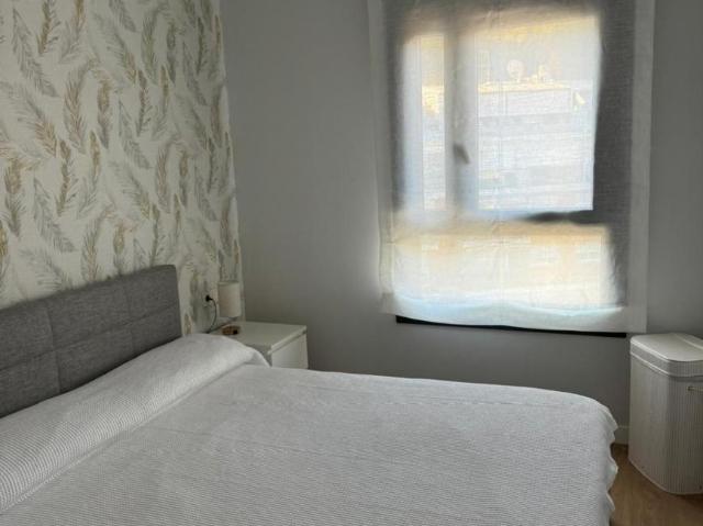 Alquiler 2 Dormitorio Apartamentos Málaga Málaga DS104937889