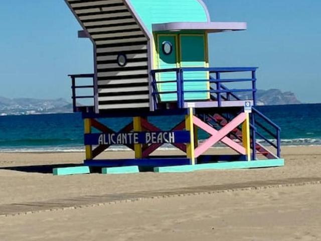 Alquiler 2 Dormitorio Apartamentos Alicante Alicante DS105544282