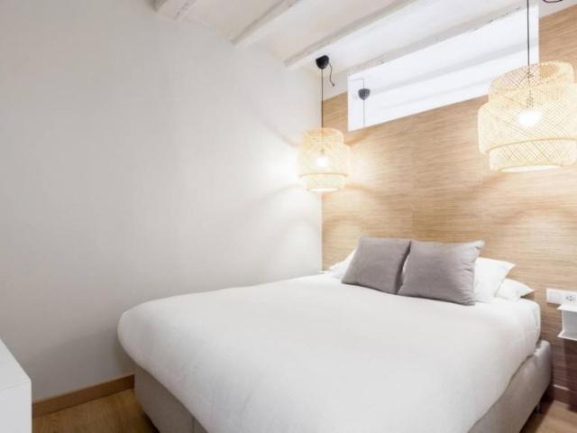 Alquiler 2 Dormitorio Apartamentos Barcelona Barcelona DS104924473