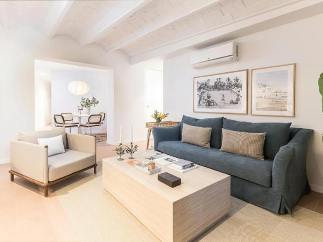 Alquiler 2 Dormitorio Apartamentos Barcelona Barcelona DS104002701