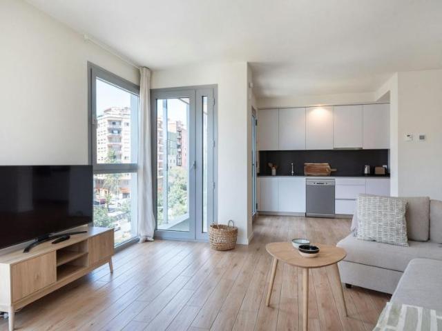 Alquiler 2 Dormitorio Apartamentos Barcelona Barcelona DS105120264