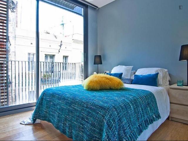 Alquiler 2 Dormitorio Apartamentos Barcelona Barcelona DS106076040