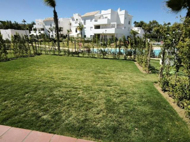 Alquiler 2 Dormitorio Apartamentos Cadiz Cadiz DLS103061679