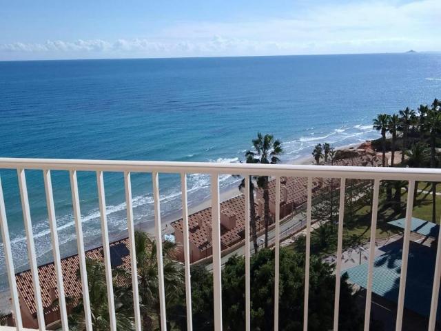 Alquiler 2 Dormitorio Apartamentos Dehesa De Campoamor Dehesa De Campoamor DLS100671872