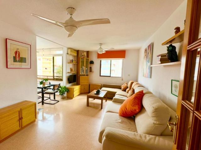 Alquiler 2 Dormitorio Apartamentos El Campello El Campello DS103302839