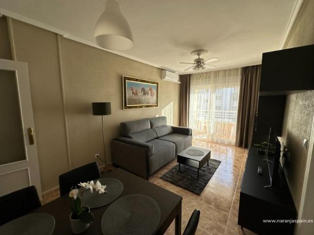 Alquiler 2 Dormitorio Apartamentos Guardamar Del Segura Alicante DS86218571