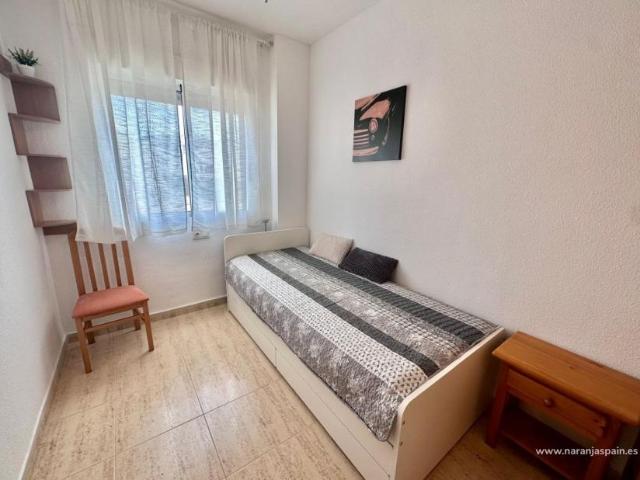 Alquiler 2 Dormitorio Apartamentos Guardamar Del Segura Alicante DS90064806