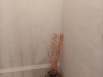 Apartamento en alquiler en Plaça d'en Coll