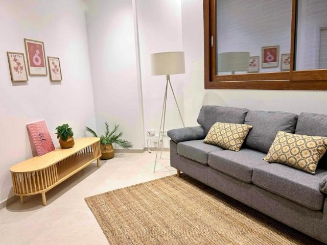 Alquiler 2 Dormitorio Apartamentos Palma Palma DS104783391