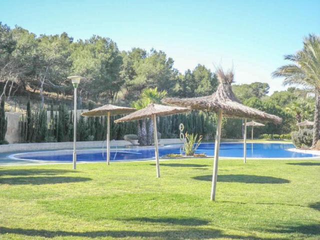 Alquiler 2 Dormitorio Apartamentos Santa Pola Santa Pola DS105005899