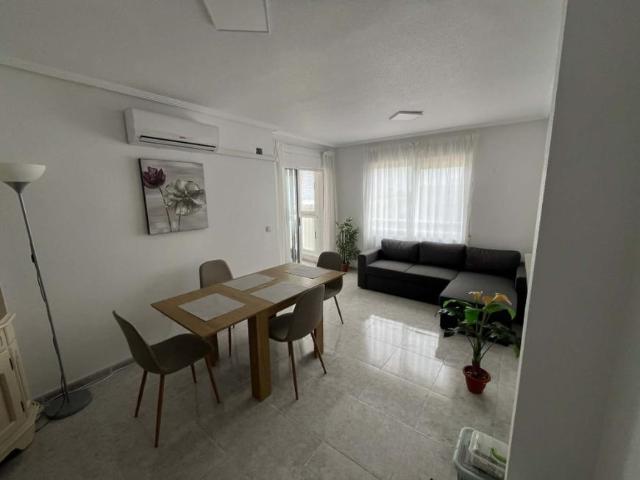 Alquiler 2 Dormitorio Apartamentos Torrevieja Torrevieja DS105488037