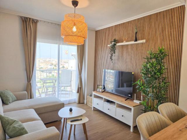 Alquiler 2 Dormitorio Apartamentos Torrevieja Torrevieja DS99382542