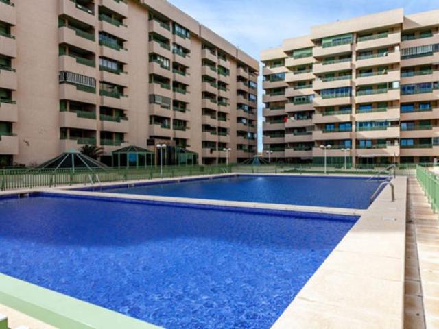 Alquiler 2 Dormitorio Apartamentos Valencia Valencia DS102885610