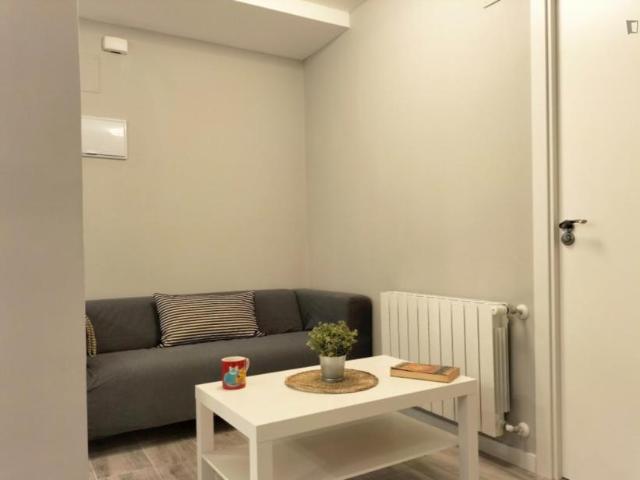 Alquiler 3 Dormitorio Apartamentos Madrid Madrid DS103270405