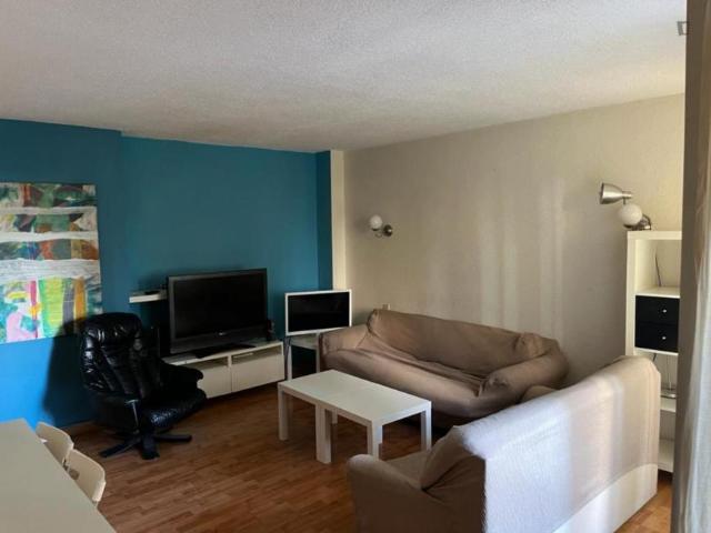 Alquiler 3 Dormitorio Apartamentos Madrid Madrid DS103282977