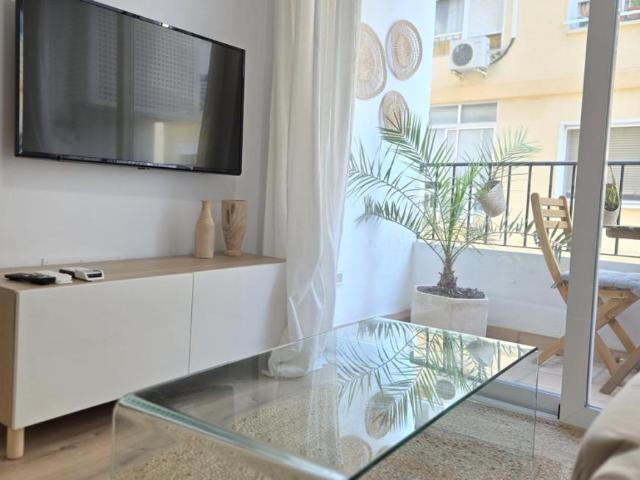 Alquiler 3 Dormitorio Apartamentos Málaga Málaga DS95913846