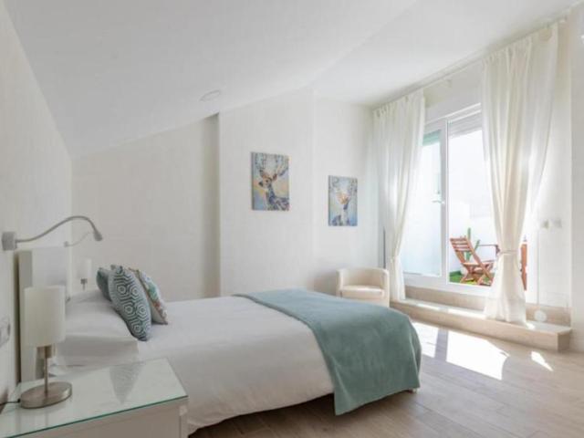 Alquiler 3 Dormitorio Apartamentos Málaga Málaga DS104403754