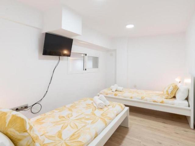 Alquiler 3 Dormitorio Apartamentos Málaga Málaga DS104937855