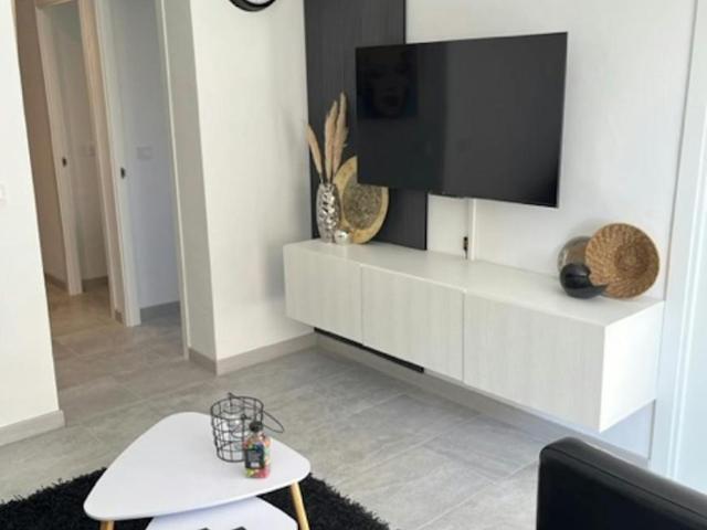 Alquiler 3 Dormitorio Apartamentos Alicante Alicante DS105073450