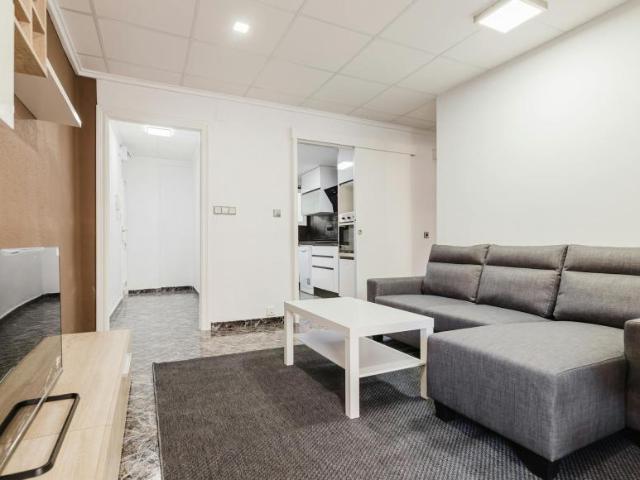 Alquiler 3 Dormitorio Apartamentos Burjassot Burjassot DS105544543