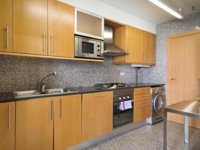 Alquiler 3 Dormitorio Apartamentos Barcelona Barcelona DS104721221