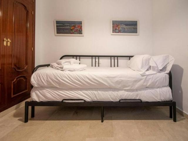 Alquiler 3 Dormitorio Apartamentos Cadiz Cadiz DS103655061