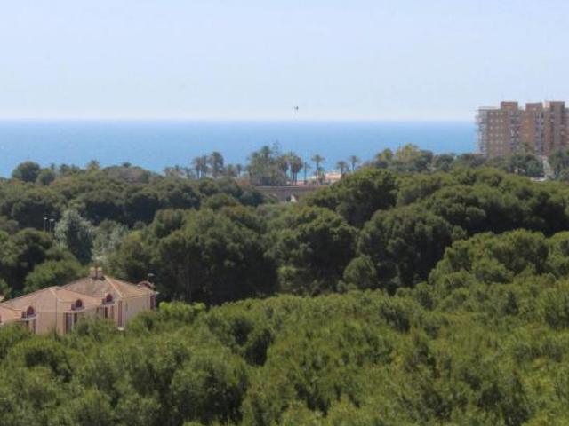 Alquiler 3 Dormitorio Apartamentos Dehesa De Campoamor Dehesa De Campoamor DS102848109