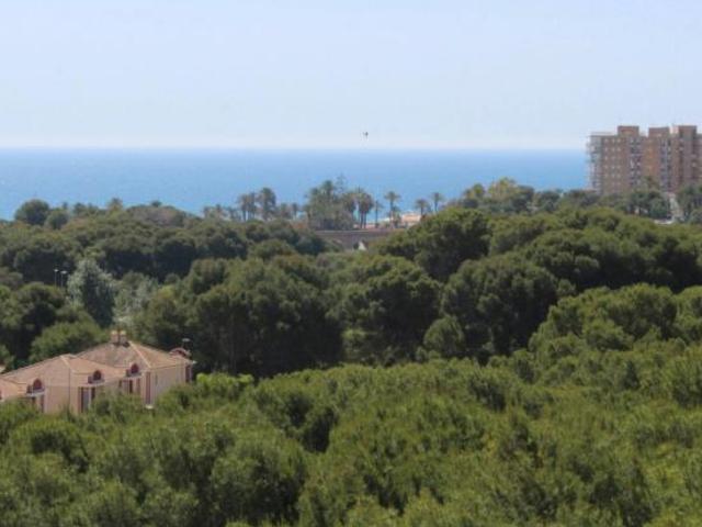 Alquiler 3 Dormitorio Apartamentos Dehesa De Campoamor Dehesa De Campoamor DS105270351