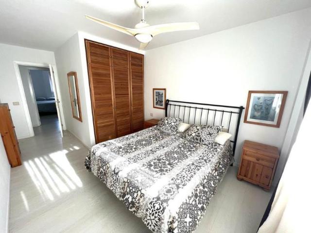 Alquiler 3 Dormitorio Apartamentos El Médano El Médano DS87565774