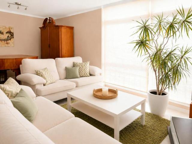 Alquiler 3 Dormitorio Apartamentos Fuengirola Fuengirola DLS103411967